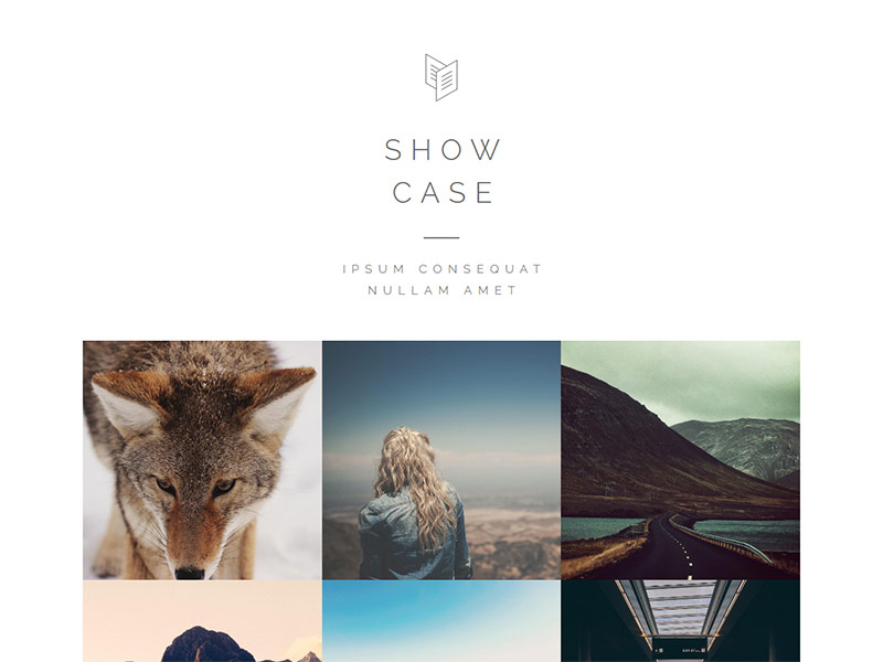 "Showcase" demo site preview